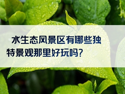沕沕水生态风景区有哪些独特景观那里好玩吗？