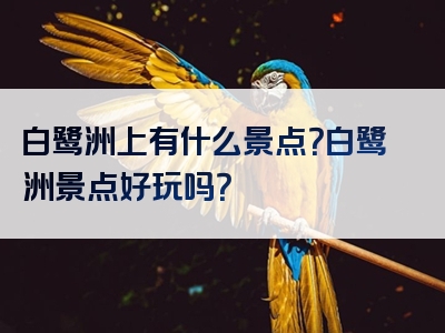 白鹭洲上有什么景点？白鹭洲景点好玩吗？