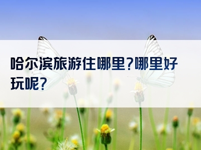 哈尔滨旅游住哪里？哪里好玩呢？