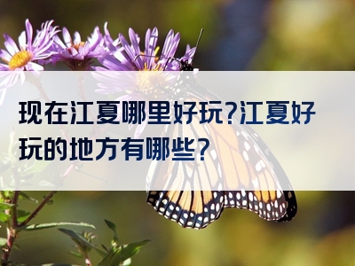 现在江夏哪里好玩？江夏好玩的地方有哪些？