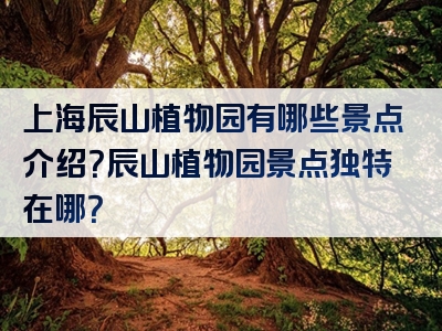 上海辰山植物园有哪些景点介绍？辰山植物园景点独特在哪？