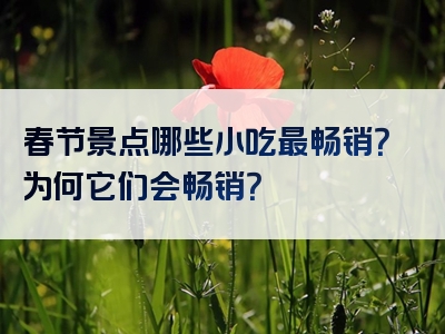 春节景点哪些小吃最畅销？为何它们会畅销？