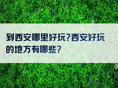 到西安哪里好玩？西安好玩的地方有哪些？