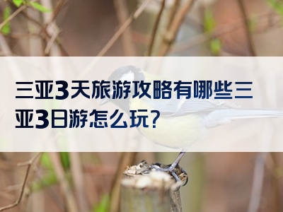 三亚3天旅游攻略有哪些三亚3日游怎么玩？