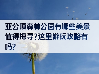 亚公顶森林公园有哪些美景值得探寻？这里游玩攻略有吗？