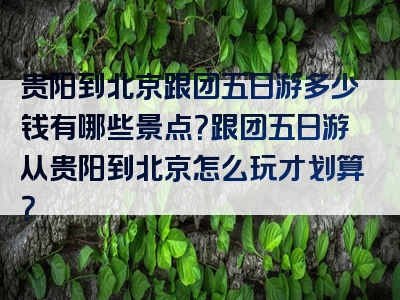 贵阳到北京跟团五日游多少钱有哪些景点？跟团五日游从贵阳到北京怎么玩才划算？