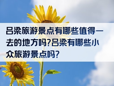吕梁旅游景点有哪些值得一去的地方吗？吕梁有哪些小众旅游景点吗？