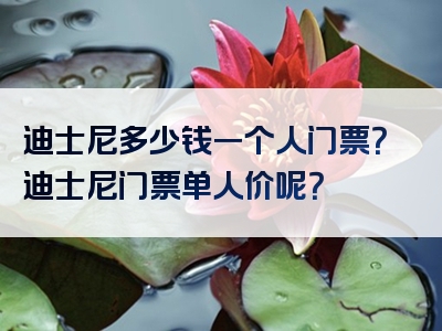 迪士尼多少钱一个人门票？迪士尼门票单人价呢？