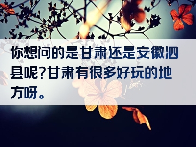 你想问的是甘肃还是安徽泗县呢？甘肃有很多好玩的地方呀。