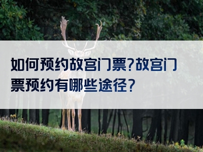 如何预约故宫门票？故宫门票预约有哪些途径？