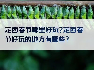 定西春节哪里好玩？定西春节好玩的地方有哪些？