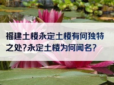 福建土楼永定土楼有何独特之处？永定土楼为何闻名？
