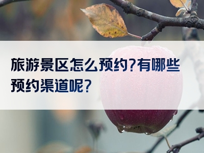 旅游景区怎么预约？有哪些预约渠道呢？