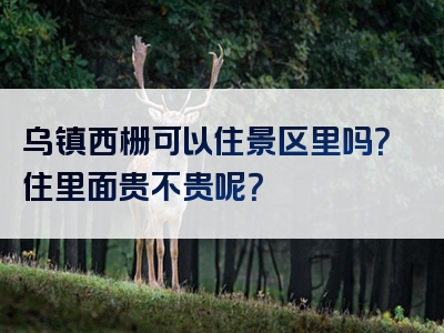 乌镇西栅可以住景区里吗？住里面贵不贵呢？