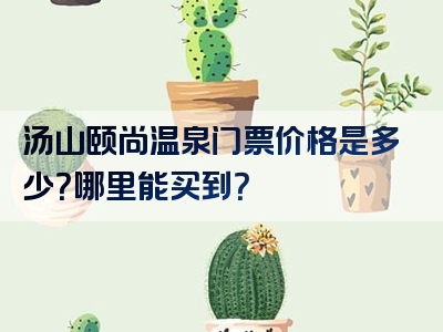 汤山颐尚温泉门票价格是多少？哪里能买到？