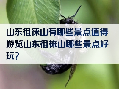 山东徂徕山有哪些景点值得游览山东徂徕山哪些景点好玩？