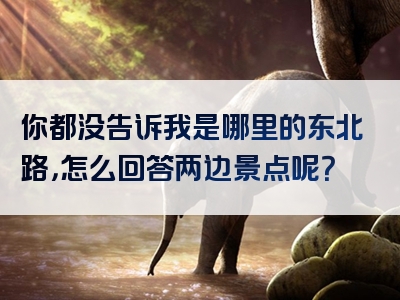 你都没告诉我是哪里的东北路，怎么回答两边景点呢？