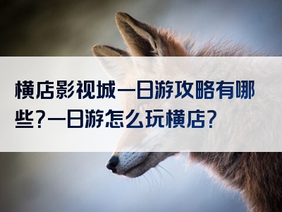 横店影视城一日游攻略有哪些？一日游怎么玩横店？