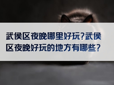 武侯区夜晚哪里好玩？武侯区夜晚好玩的地方有哪些？