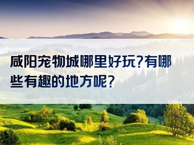 咸阳宠物城哪里好玩？有哪些有趣的地方呢？