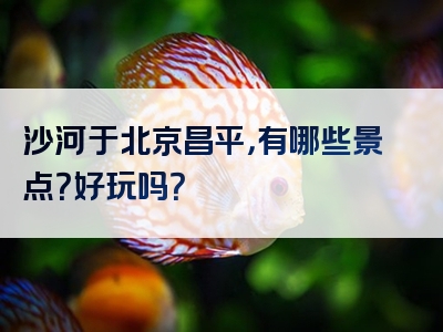 沙河于北京昌平，有哪些景点？好玩吗？