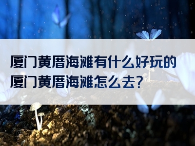 厦门黄厝海滩有什么好玩的厦门黄厝海滩怎么去？