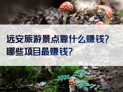 远安旅游景点靠什么赚钱？哪些项目最赚钱？