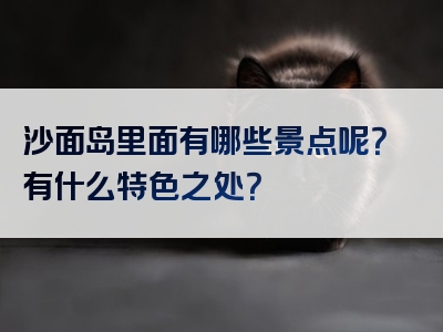 沙面岛里面有哪些景点呢？有什么特色之处？