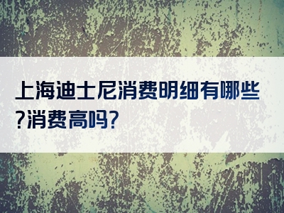 上海迪士尼消费明细有哪些？消费高吗？