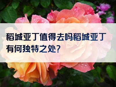 稻城亚丁值得去吗稻城亚丁有何独特之处？