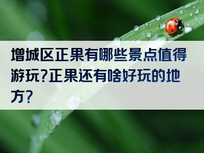 增城区正果有哪些景点值得游玩？正果还有啥好玩的地方？