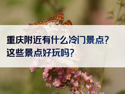 重庆附近有什么冷门景点？这些景点好玩吗？