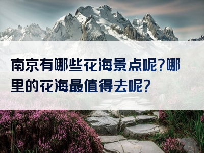 南京有哪些花海景点呢？哪里的花海最值得去呢？