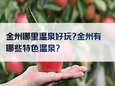 金州哪里温泉好玩？金州有哪些特色温泉？