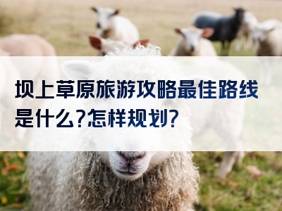 坝上草原旅游攻略最佳路线是什么？怎样规划？