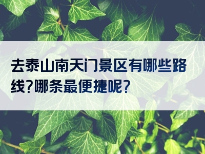 去泰山南天门景区有哪些路线？哪条最便捷呢？