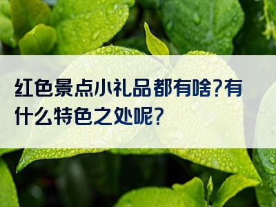 红色景点小礼品都有啥？有什么特色之处呢？