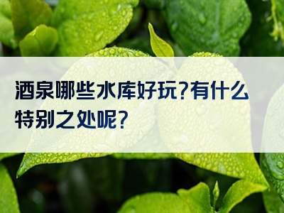 酒泉哪些水库好玩？有什么特别之处呢？