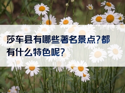 莎车县有哪些著名景点？都有什么特色呢？