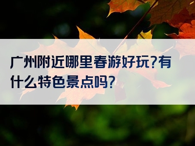 广州附近哪里春游好玩？有什么特色景点吗？