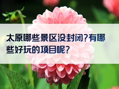 太原哪些景区没封闭？有哪些好玩的项目呢？