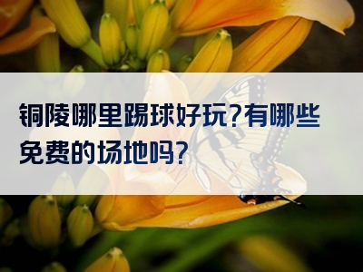 铜陵哪里踢球好玩？有哪些免费的场地吗？