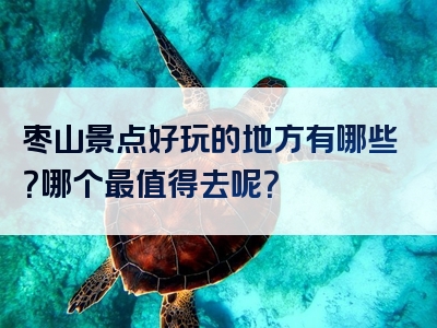 枣山景点好玩的地方有哪些？哪个最值得去呢？