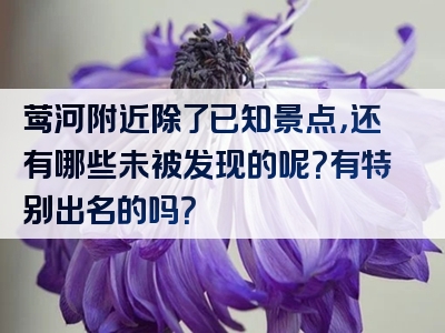 莺河附近除了已知景点，还有哪些未被发现的呢？有特别出名的吗？