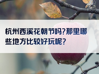 杭州西溪花朝节吗？那里哪些地方比较好玩呢？