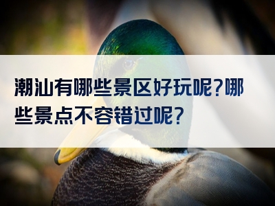 潮汕有哪些景区好玩呢？哪些景点不容错过呢？