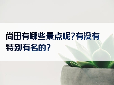 尚田有哪些景点呢？有没有特别有名的？