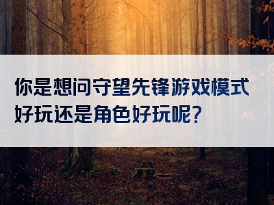 你是想问守望先锋游戏模式好玩还是角色好玩呢？