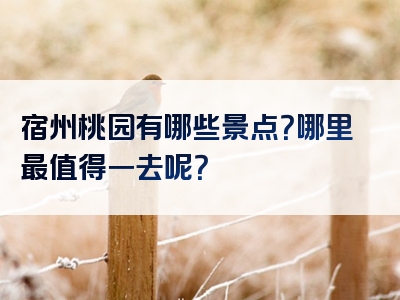 宿州桃园有哪些景点？哪里最值得一去呢？