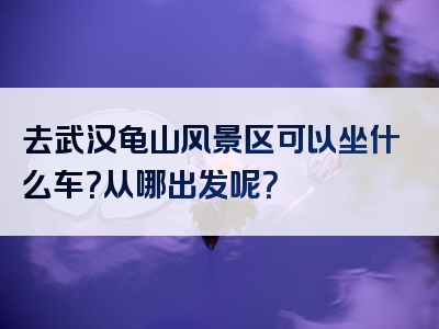 去武汉龟山风景区可以坐什么车？从哪出发呢？